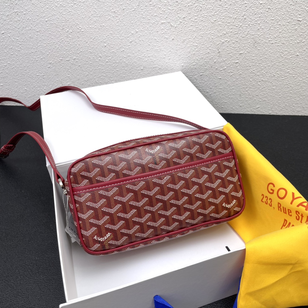 Goyard celebrity camera bag